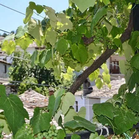 Lägenhetshotell Theo *