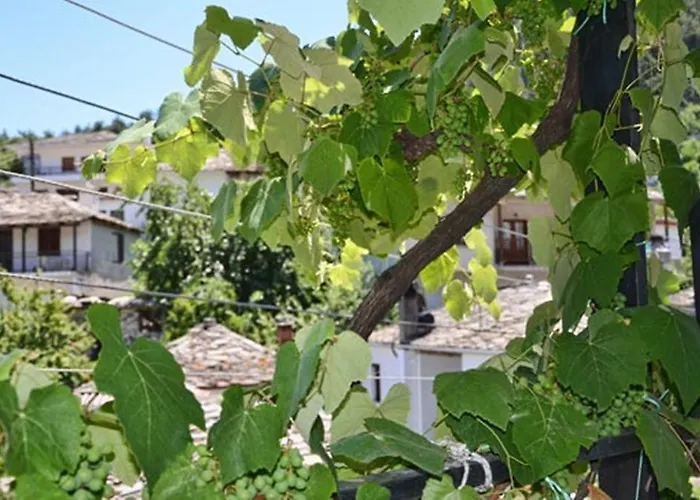 Hotel de apartamente Theo *